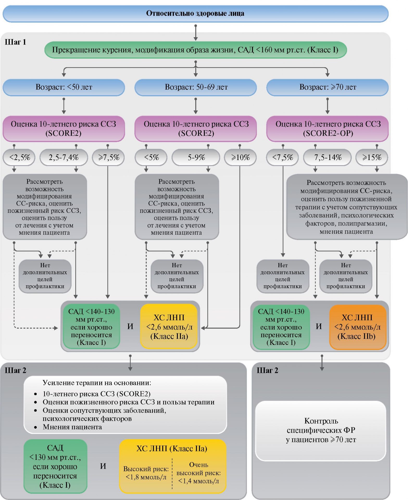 Рис. 3. Алгоритм снижения ССР для категории в целом здоровых лиц [102]. Сокращения: САД — систолическое артериальное давление, СС — сердечно-сосудистый, ССЗ — сердечно-сосудистые заболевания, ФР — факторы риска, ХС ЛНП — холестерин липопротеидов низкой плотности.