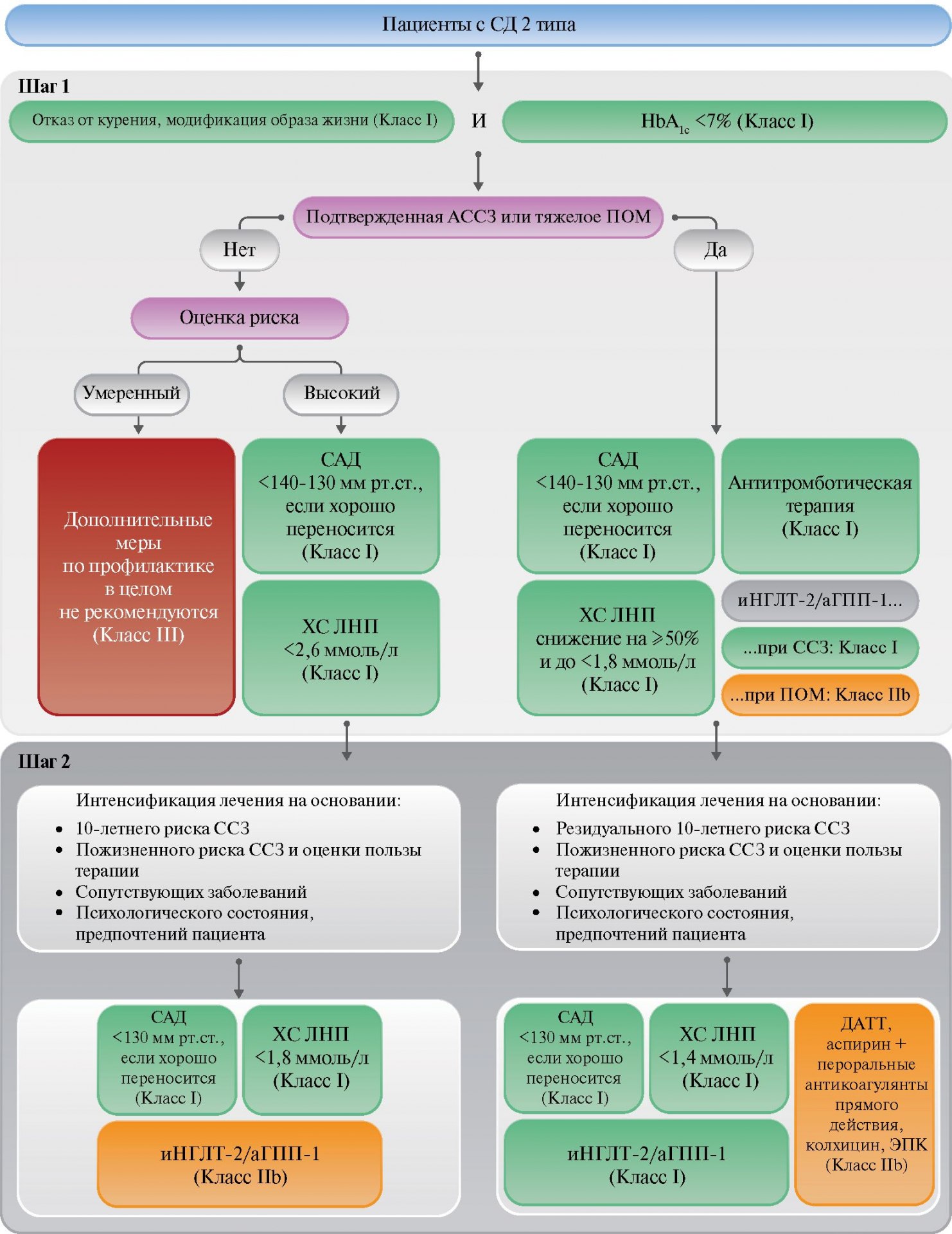 Рис. 6. Алгоритм тактики по снижению ССР и контроля ФР у пациентов с СД [102]. Сокращения: арГПП-1 — агонист рецепторов глюкагоноподобного пептида 1, АССЗ — атеросклеротические сердечно-сосудистые заболевания, ДАТТ — двой- ная антитромбоцитарная терапия, иНГЛТ-2 — ингибиторы натрий-глюкозного котранспортера 2 типа, ПОМ — поражение органов-мишеней, САД — систоли- ческое артериальное давление, СД — сахарный диабет, ССЗ — сердечно-сосудистые заболевания, ХС ЛНП — холестерин липопротеидов низкой плотности, ЭПК — эйкозапентаеновая кислота.